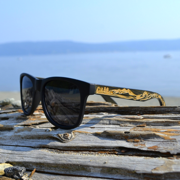 Aviary_Photo_13146355581988108